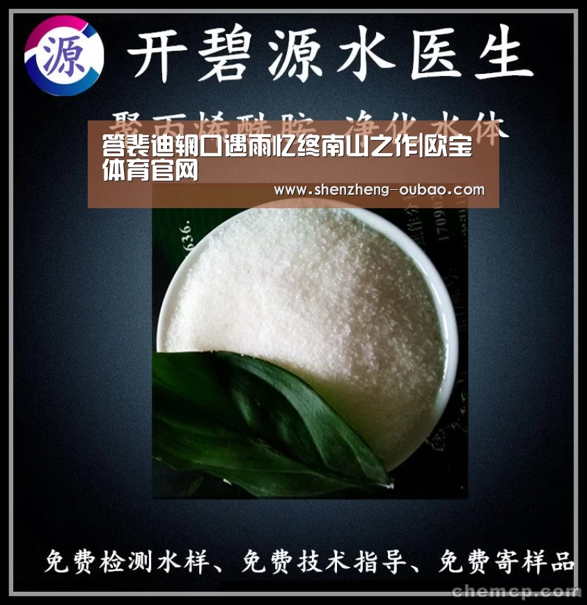 答裴迪辋口遇雨忆终南山之作|欧宝体育官网(图1) 欧宝体育